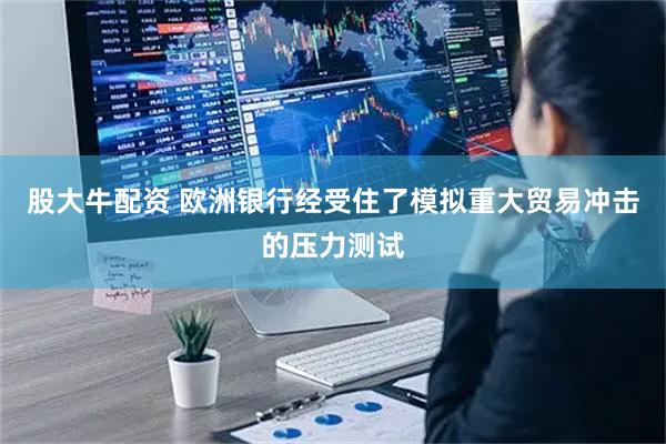 股大牛配资 欧洲银行经受住了模拟重大贸易冲击的压力测试