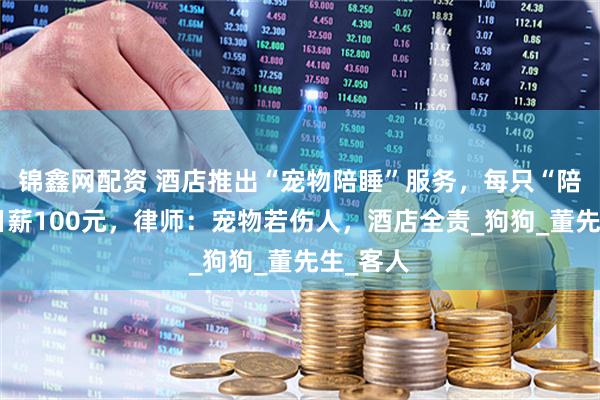 锦鑫网配资 酒店推出“宠物陪睡”服务，每只“陪睡犬”日薪100元，律师：宠物若伤人，酒店全责_狗狗_董先生_客人