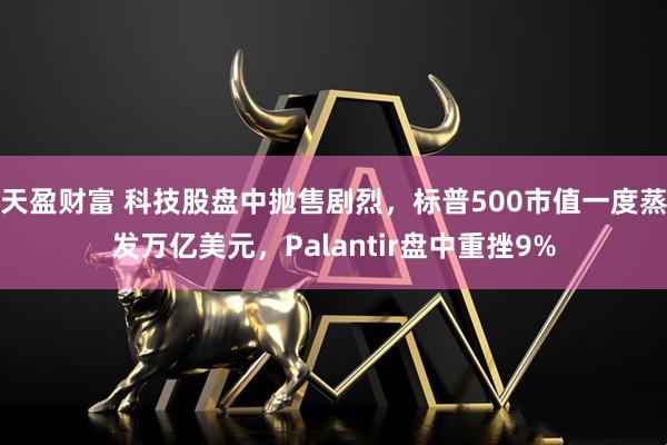 天盈财富 科技股盘中抛售剧烈，标普500市值一度蒸发万亿美元，Palantir盘中重挫9%