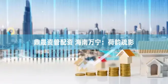 鼎晟资管配资 海南万宁：荷韵疏影