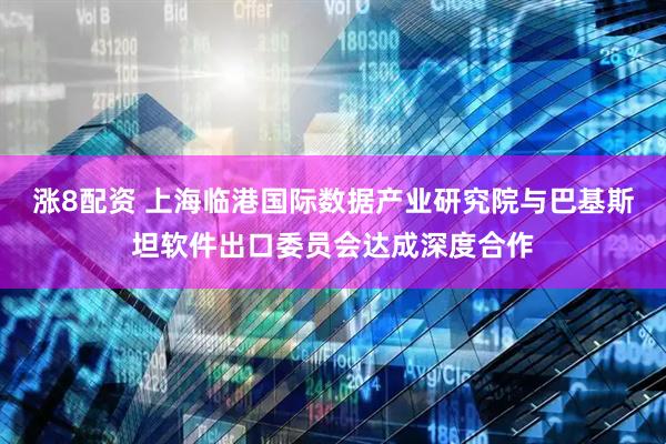 涨8配资 上海临港国际数据产业研究院与巴基斯坦软件出口委员会达成深度合作