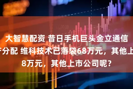 大智慧配资 昔日手机巨头金立通信第二次破产分配 维科技术已落袋68万元,其他上市公司呢?